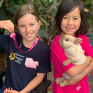 Waffles the rabbit has raised $800 and counting