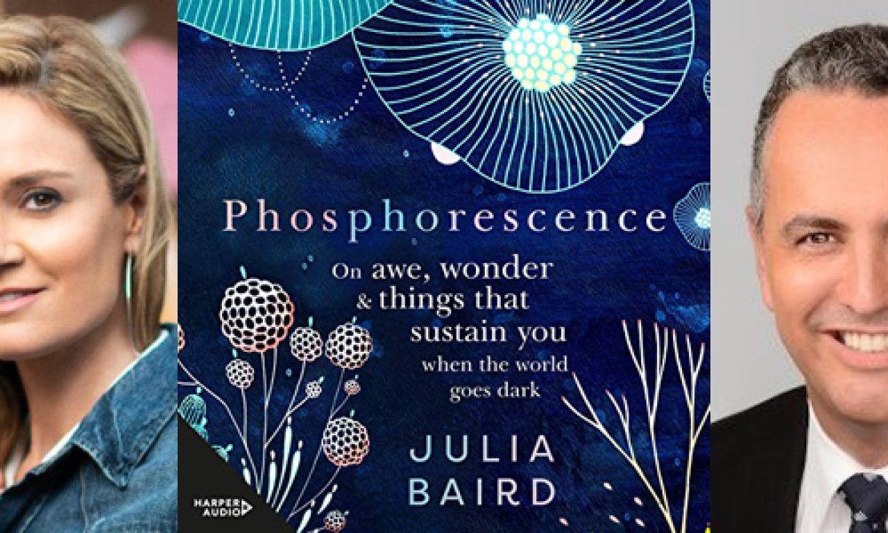 Julia Baird, 'Phosphorescence' and David Braga